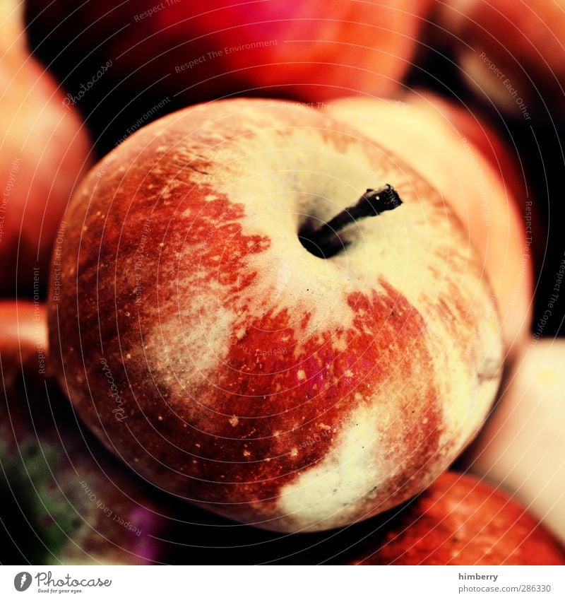 apple Lebensmittel Frucht Ernährung Essen Mittagessen Picknick Bioprodukte Vegetarische Ernährung Diät Fastfood Stil Design Gesundheit Gesunde Ernährung Fitness