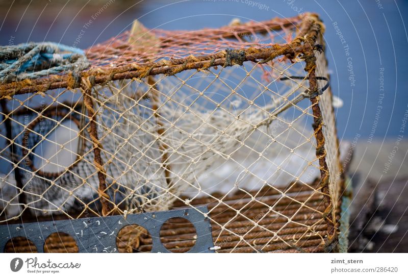Netze Fisch Meeresfrüchte Beruf Fischer Angeln Werkzeug Küste Fjord Göteborg Schäre Insel Schifffahrt Fischerboot Seil Drahtgestell liegen blau braun Rost leer