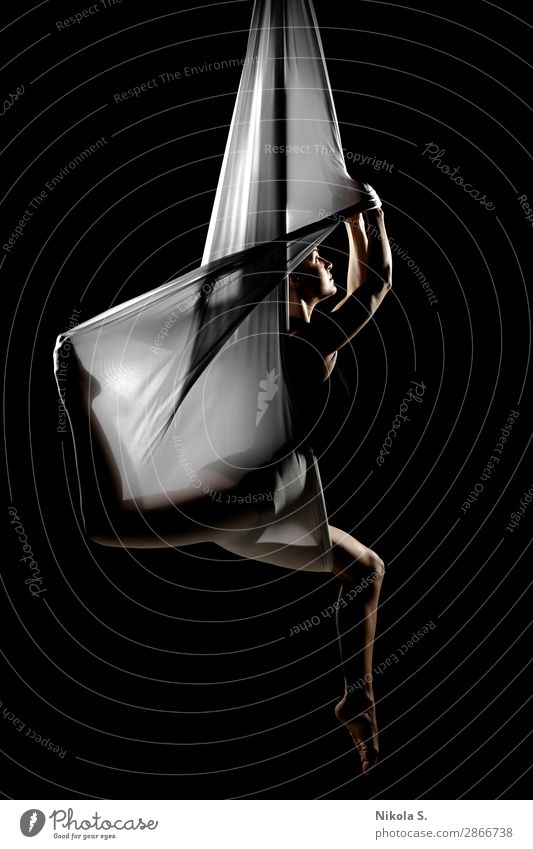 weiblich posiert Antenne Anti-Schwerkraft-Yoga auf einer Hängematte Lifestyle Körper sportlich Wellness Erholung Sport Mensch Junge Frau Jugendliche Erwachsene