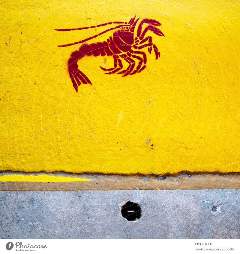 Mrs. Crab. X Kunst Tier 1 Zeichen Schilder & Markierungen Hinweisschild Warnschild Graffiti verrückt Stadt gelb Straßenkunst Hummer Fisch Lebensmittel