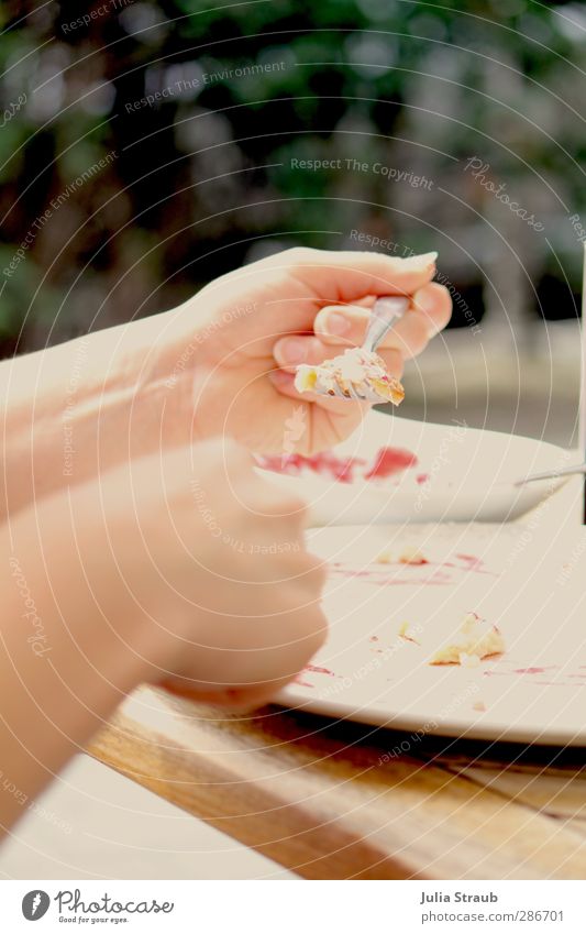 Essen Süßwaren Marmelade Pfannkuchen Mittagessen Teller Gabel feminin Frau Erwachsene Hand Finger 1 Mensch 18-30 Jahre Jugendliche Sommer Holz festhalten