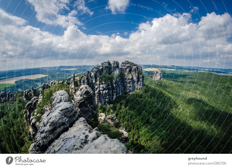 Schrammsteine in der Sächsischen Schweiz Klettern Bergsteigen Natur Landschaft Wolken Sommer Schönes Wetter Baum Felsen Berge u. Gebirge Gipfel Menschenleer