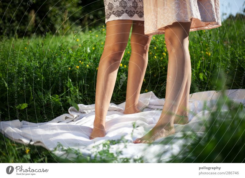 BF (3) Mensch feminin Beine Fuß 2 18-30 Jahre Jugendliche Erwachsene Natur Pflanze Himmel Schönes Wetter Gras Wiese Feld Kleid schön Gefühle Coolness