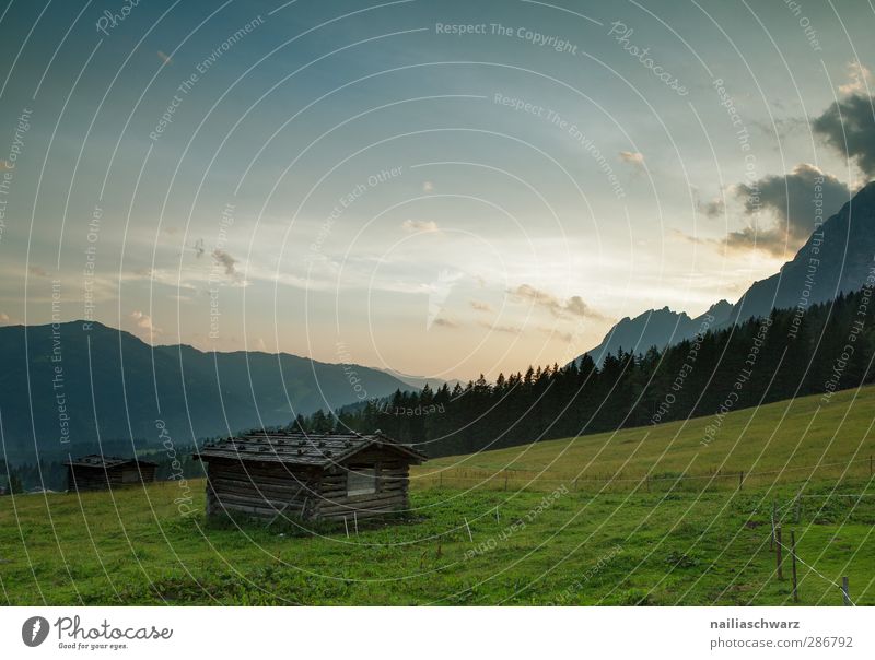 Abend auf der Alm Umwelt Natur Landschaft Himmel Sonnenaufgang Sonnenuntergang Sonnenlicht Sommer Schönes Wetter Alpen Berge u. Gebirge Almwirtschaft