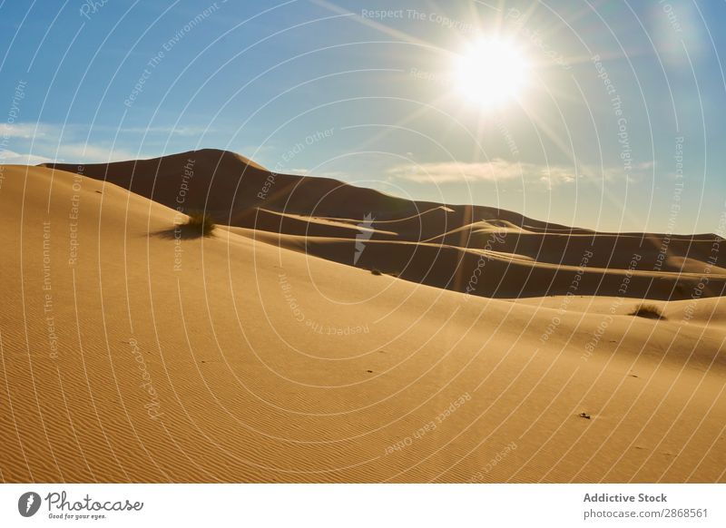 Sanddünen und blauer Himmel mit Sonne Düne Wüste Marrakesch Marokko Himmel (Jenseits) Hügel Wärme heizen Natur Landschaft regenarm Orange heiß Sahara