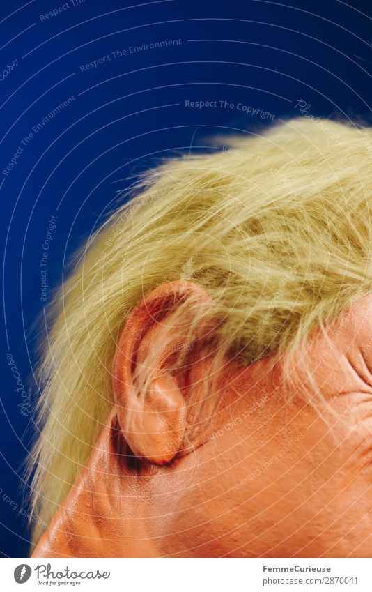 Hairstyle of a well-known politician 1 Mensch Politik & Staat Donald Trump Politiker Präsident USA Haare & Frisuren Ohr Gesicht orange blau Farbfoto