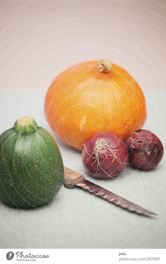 herbstgemüse Lebensmittel Gemüse Zucchini Zwiebel Kürbis Ernährung Bioprodukte Vegetarische Ernährung Messer frisch Gesundheit natürlich wintergemüse Kürbiszeit