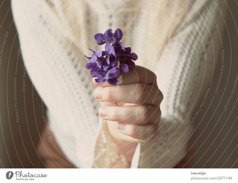 Für dich! Mensch feminin Junge Frau Jugendliche Erwachsene Mutter Leben Pflanze Blume Blüte Vergißmeinnicht violett Geschenk Muttertag Farbfoto