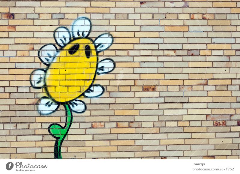 Sonnenblume Blume Mauer Wand Graffiti lustig Klima Natur Außenaufnahme Textfreiraum links Textfreiraum oben Textfreiraum unten Textfreiraum Mitte