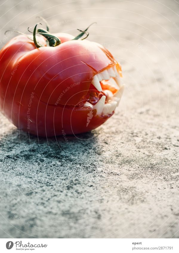 Fleischtomate Lebensmittel Gemüse fangen Fressen Jagd Aggression bedrohlich saftig verrückt wild gefräßig bizarr skurril Zähne Gebiss Vampir Tomate Blut