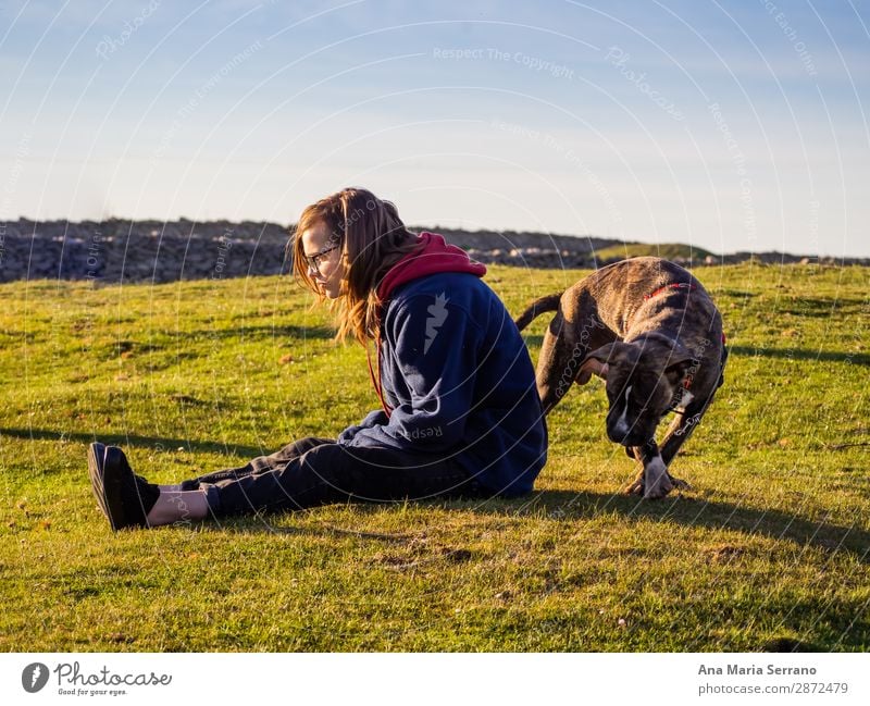 Eine Teenagerfrau spielt mit einem jungen Hund. Spielen Freiheit Junge Frau Jugendliche Erwachsene Freundschaft Natur Landschaft Haustier Tierjunges Liebe