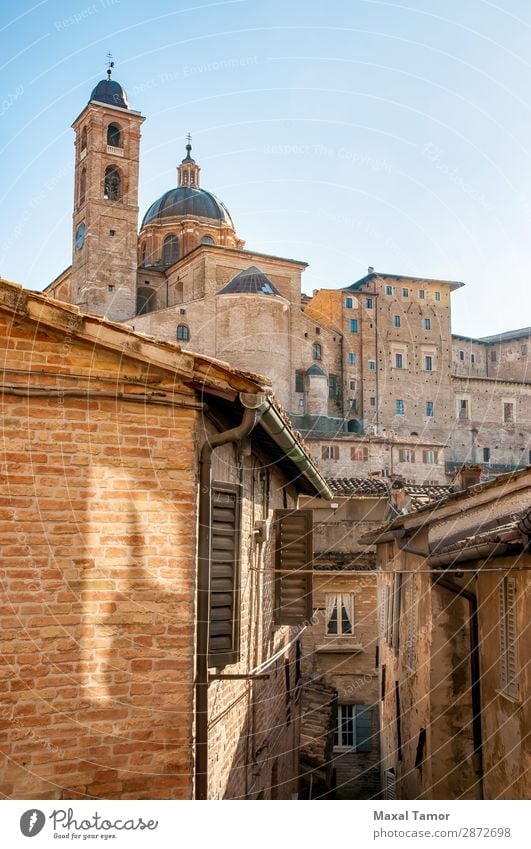 Kathedrale von Urbino Ferien & Urlaub & Reisen Tourismus Studium Kultur Landschaft Stadt Kirche Palast Gebäude Architektur Denkmal Stein alt historisch weiß