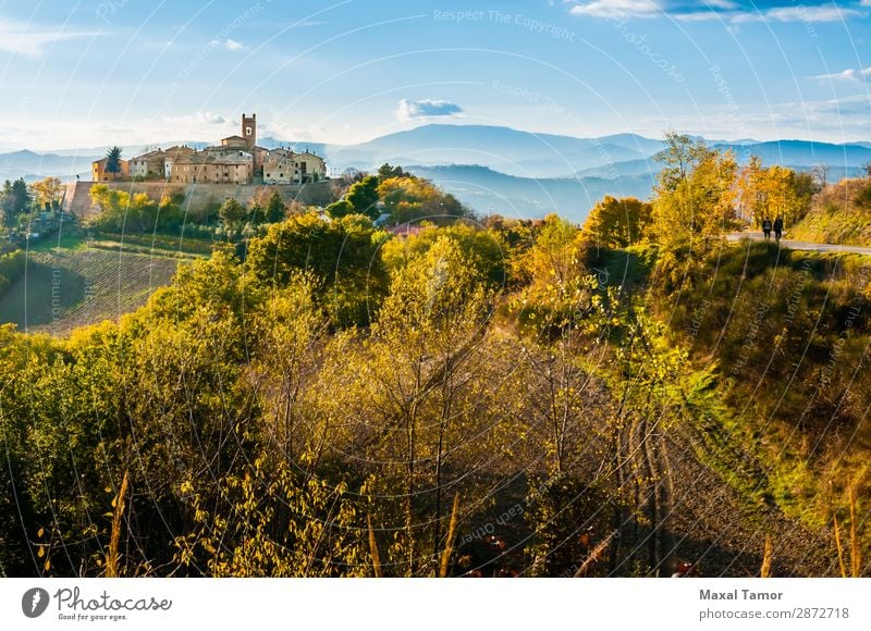 Dorf Montefabbri in Italien blau Begrenzungsmauern Burg oder Schloss Kirche Landschaft Europa Feld grün Boden Hügel historisch Haus Marche mittelalterlich