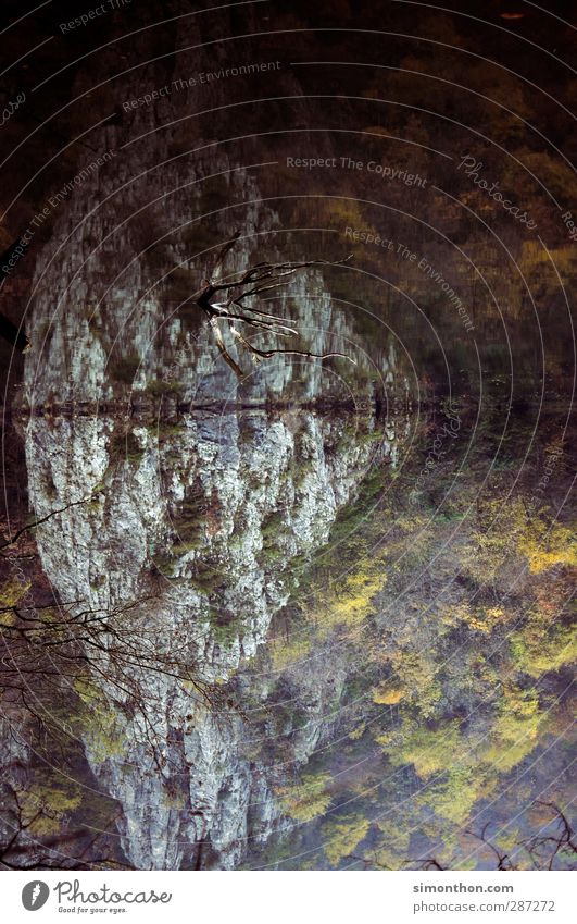 Natur Umwelt Landschaft Wasser Herbst Wald Berge u. Gebirge Schlucht Küste Seeufer Flussufer Fjord Teich Spiegel Spiegelbild Wasseroberfläche mazedonien skopje