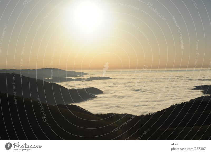 Happy Birthday,Photocase! Umwelt Natur Landschaft Himmel Wolken Sonne Sonnenaufgang Sonnenuntergang Nebel Wald Berge u. Gebirge blau rosa schwarz weiß Farbfoto