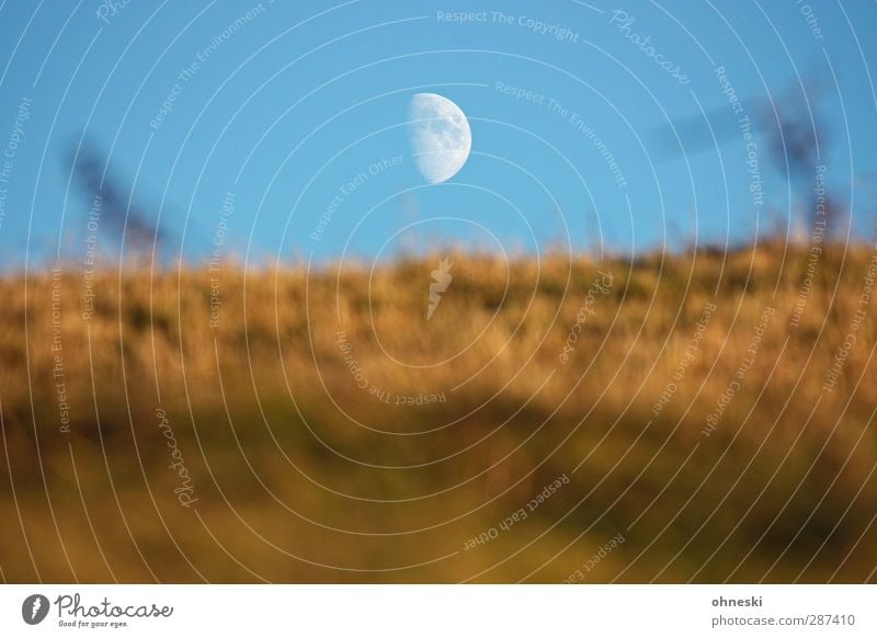 Star Trek Luft Himmel Wolkenloser Himmel Mond Gras Hügel Einsamkeit Ferne Zukunft Astronomie Astrologie Farbfoto Außenaufnahme Menschenleer Textfreiraum links