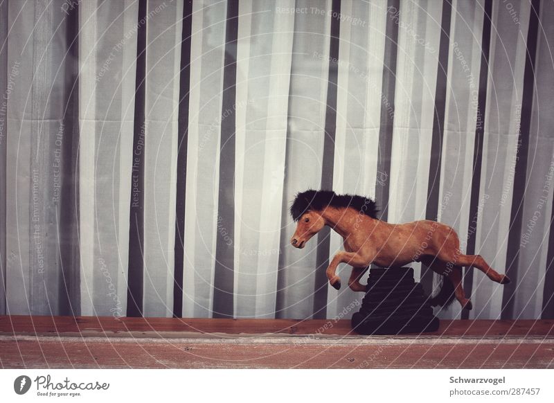 Spirit on a budget Tier Pferd 1 Geschwindigkeit Schaufenster geschlossen Fensterscheibe trist Traurigkeit Kitsch leer Figur Nachbildung Dekoration & Verzierung