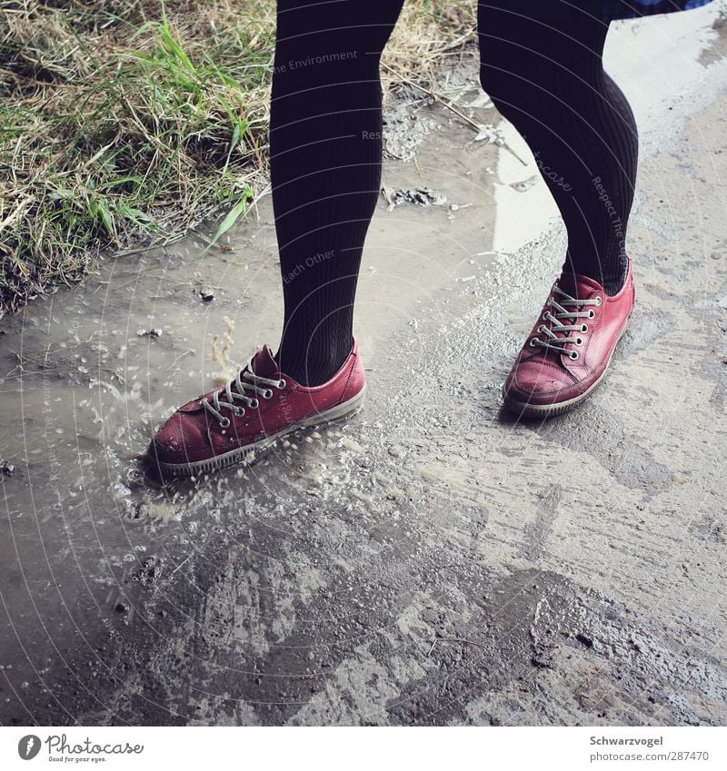Pfützenkind Wetter schlechtes Wetter Regen Fußgänger Schuhe laufen frech rebellisch grau rot schwarz Stimmung Kindheit Lebensfreude Leichtigkeit Natur Spaß