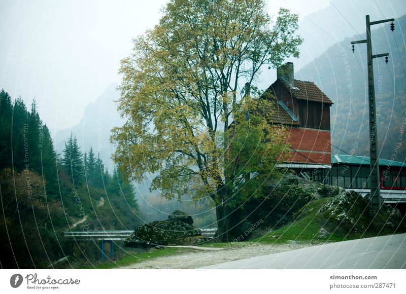 Dorf Städtereise Berge u. Gebirge wandern Umwelt Natur Landschaft Herbst schlechtes Wetter Baum Felsen Alpen Schlucht Flussufer Bucht Fjord Haus Hütte Brücke