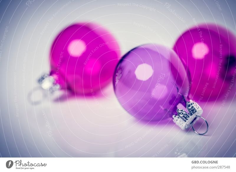 Baum gesucht (2) Weihnachten & Advent Dekoration & Verzierung Kitsch Krimskrams Glas modern rund violett rosa Winterstimmung zerbrechlich durchsichtig