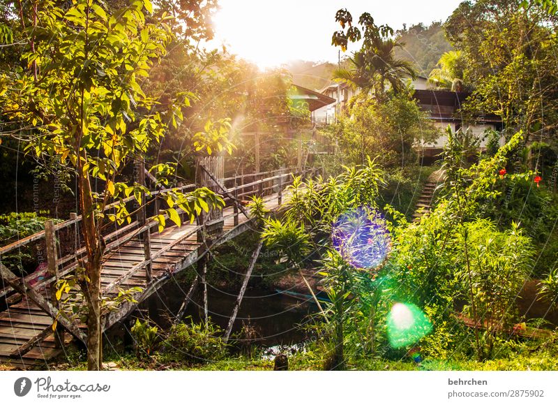 lieblingsort | corona thoughts Fernweh Iban authentisch Malaysia Borneo Freiheit Abenteuer Urlaub reisen Ferne Sarawak Ferien & Urlaub & Reisen außergewöhnlich