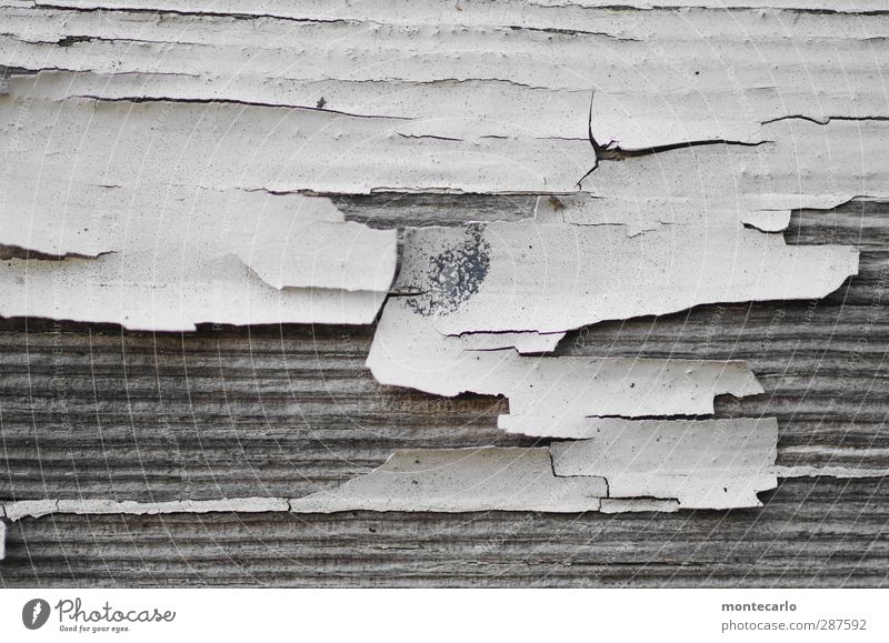 Aufforderung.. Fensterrahmen Holz streichen alt dreckig dünn kaputt natürlich trist trocken grau weiß Verfall Vergänglichkeit Farbfoto Außenaufnahme Nahaufnahme
