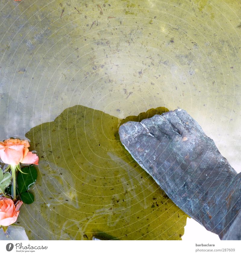 Das hat Hand und Fuß | zu Füßen legen Kunstwerk Skulptur Wasser Sonnenlicht Blume Rose Teich Stein liegen stehen hell nass grau rosa Gefühle Romantik ästhetisch