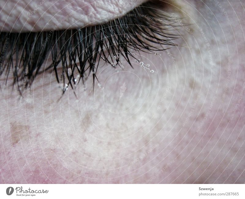 Winterkälte feminin Haut Auge Wasser Wassertropfen kalt nass Tau Farbfoto Nahaufnahme Makroaufnahme