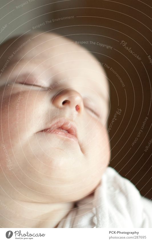 Baby Traum feminin Kind Mädchen Kopf Gesicht Nase Mund Lippen 0-12 Monate Erholung schlafen träumen ästhetisch Freundlichkeit weich Vertrauen Sicherheit Schutz