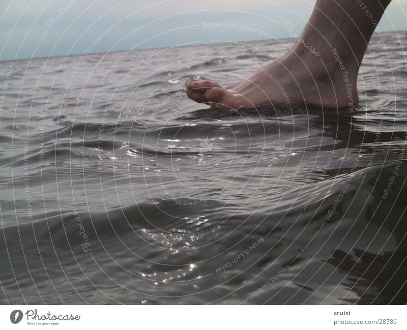 Der über's Wasser latschte Meer Wellen Zehen Ostsee Fuß Fußknöchel Barfuß
