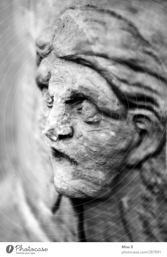 Steinfratze Mensch Gesicht 1 Kunst Skulptur Blick alt kaputt grau Senior Verfall Vergänglichkeit Auge Statue Schwarzweißfoto Gedeckte Farben Nahaufnahme