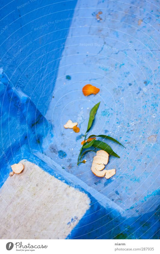 Orangenrest an Blau Frucht Ernährung Bioprodukte Tier Sommer exotisch Essen genießen blau grün Ende Verfall Vergangenheit wegwerfen Mandarine Farbfoto