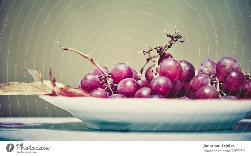 Weintraubenteller Lebensmittel Frucht Ernährung Abendessen Bioprodukte Vegetarische Ernährung lecker Teller violett rot Foodfotografie Dessert Vitamin genießen