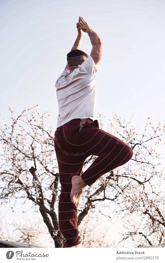 Anonymer Mann beim Yoga im Frühlingsgarten Garten Baum Meditation Himmel Schönes Wetter Überstrahlung Jahreszeiten Barfuß harmonisch Idylle Zen üben