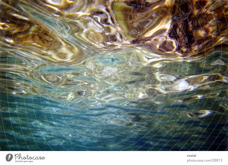 Das Unter-Wasser Meer unten Wasseroberfläche Kroatien Murter Kornaten Reflexion & Spiegelung tauchen Schnorcheln Tauchgerät Wasserspiegel Adria Kroatia