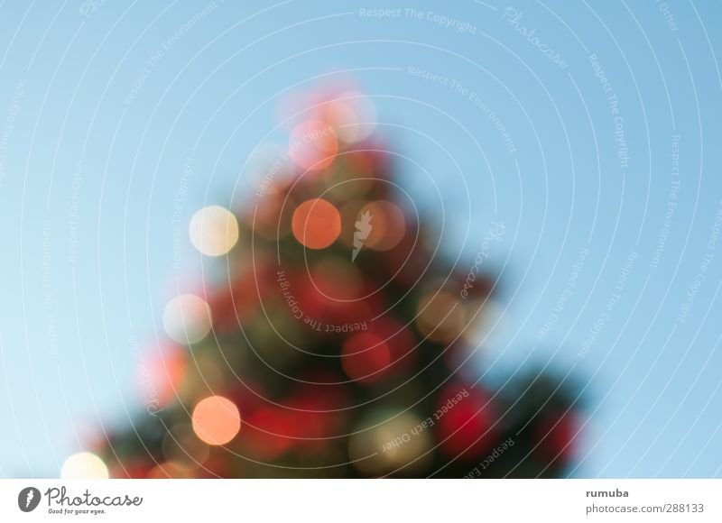 Oh Tannenbaum Freude Weihnachten & Advent Baum Zeichen Frohe Weihnachten glänzend historisch Stimmung Menschlichkeit Weihnachtsbaum Christbaumkugel Beleuchtung