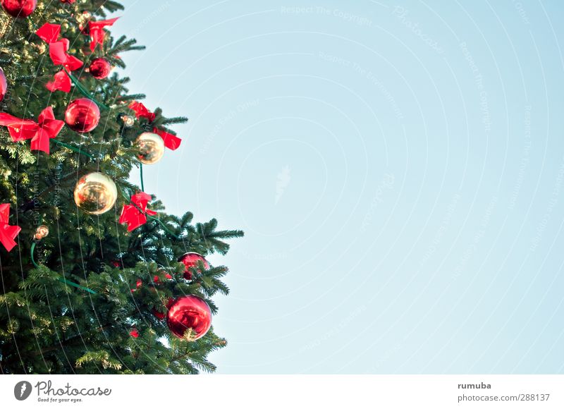 Christbaum Weihnachten & Advent Zeichen blau grün rot Geborgenheit Textfreiraum Himmel (Jenseits) Weihnachtsbaum Christbaumkugel frohe weihnachten verschönern