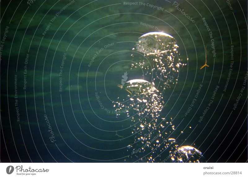 Blasen oder Quallen Wasseroberfläche tauchen Schnorcheln Meer Reflexion & Spiegelung nass Luftblase