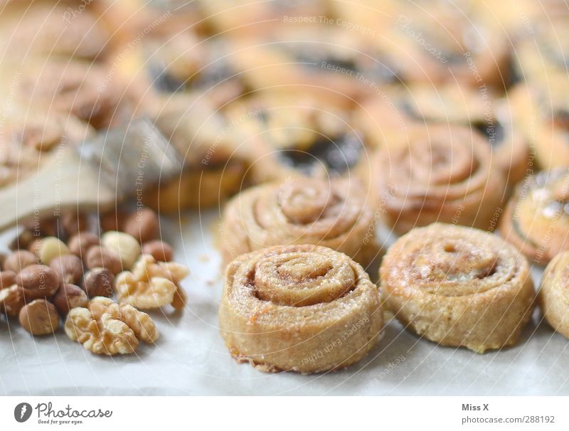 Ein Tier mit "N" = Nussschnecke Lebensmittel Teigwaren Backwaren Kuchen Ernährung lecker süß Walnuss Nusschnecke Zimtschnecke Spirale Zimtkringel Bäckerei