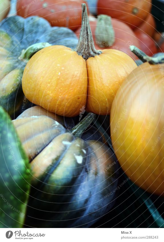 Ritze Lebensmittel Gemüse Ernährung Bioprodukte Vegetarische Ernährung Gesäß lustig Kürbis Wochenmarkt Gemüsemarkt Farbfoto mehrfarbig Nahaufnahme Menschenleer