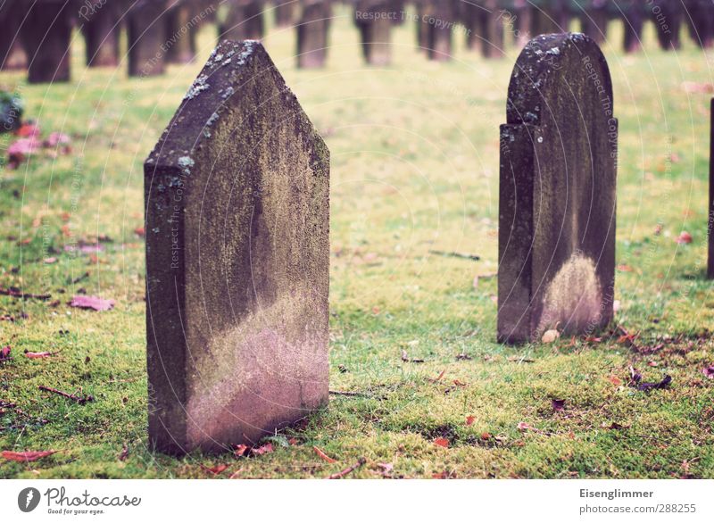 R.I.P. Herbst Wiese Friedhof Grab Grabmal Grabstein stehen alt dunkel Trauer Tod Ende Verfall Vergänglichkeit Farbfoto Außenaufnahme Menschenleer