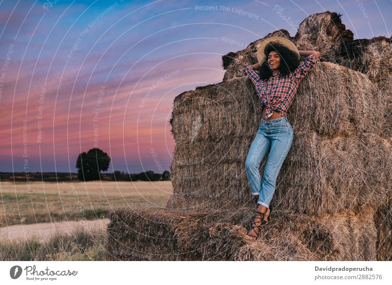 Glückliche schwarze junge Frau, die auf einem Haufen Heu steht. Landwirt Sommer urwüchsig Afrikanisch Landschaft Natur Länder Himmel Erholung Lifestyle