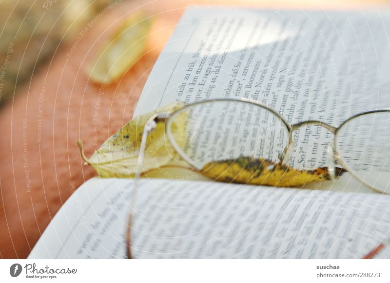 lesezeit II Umwelt Natur Herbst lesen Zufriedenheit Vorsicht ruhig Idylle Buch Text Zeilen Sätze Brille Blätter Kissen Brillenglas Farbfoto Außenaufnahme