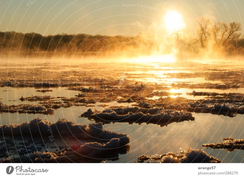 Eiselbe Natur Landschaft Wasser Himmel Sonne Sonnenaufgang Sonnenuntergang Sonnenlicht Winter Frost Fluss Elbe Deutschland Sachsen-Anhalt Menschenleer kalt nass