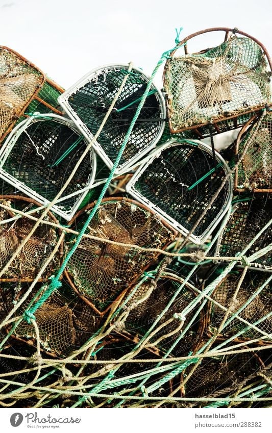 Hafenkante Freizeit & Hobby Angeln dreckig Rost Reuse Fischfang Fischereiwirtschaft Aal Seil Netz grün Erholung Vergangenheit Angler Gerät fangen Farbfoto