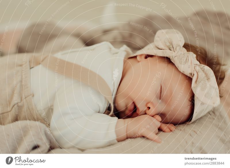 Porträt eines schlafenden Neugeborenen schön Gesicht Leben Kind Baby Kindheit träumen klein natürlich neu niedlich weich weiß unschuldig neugeboren Decke
