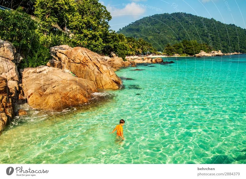 reinheitsgebot | klar klarer am klarsten Korallenriff Schwimmen & Baden Spielen Kindheit Junge Felsen Malaysia Palme Romantik Erholung Landschaft Asien Insel
