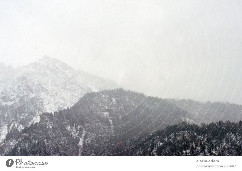 Graustufen Natur Landschaft Winter Schnee Alpen Schneebedeckte Gipfel Stein fest kalt grau weiß Macht Abenteuer Trauer Schwarzweißfoto Außenaufnahme