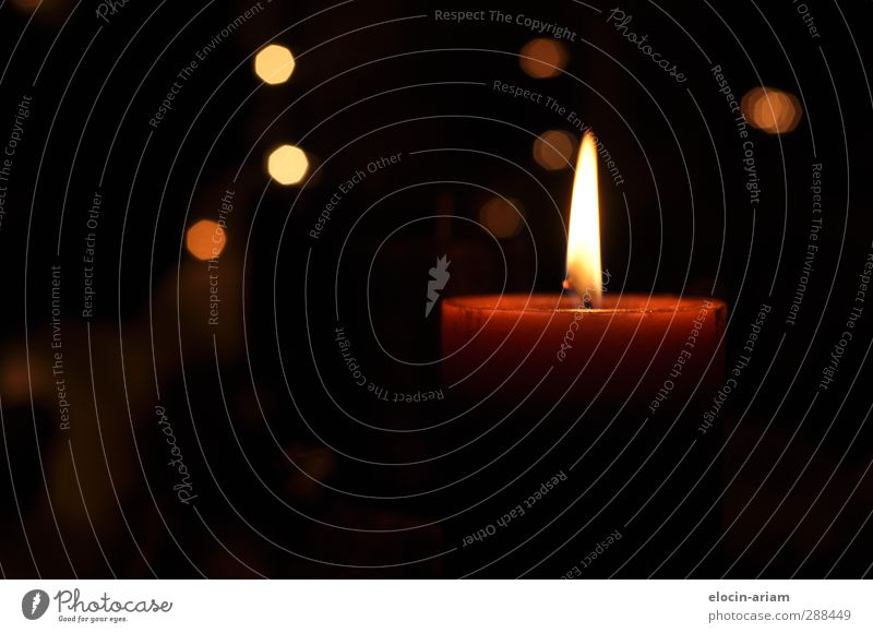 Kerze Duft leuchten hell schön Wärme Gefühle Zufriedenheit Hoffnung Einsamkeit Tod Trauer Vergänglichkeit Adventskranz Farbfoto Innenaufnahme Nahaufnahme