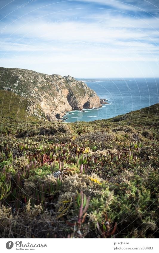 Portugal Natur Landschaft Schönes Wetter Sträucher Hügel Küste Meer exotisch Ferne Farbfoto Außenaufnahme Panorama (Aussicht)
